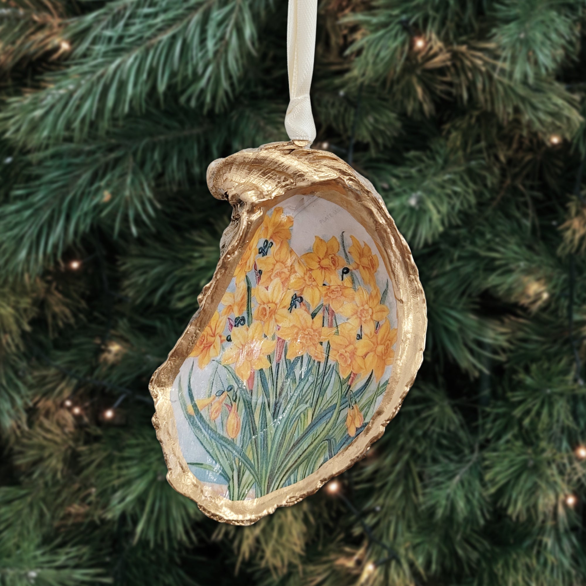 Daffodil Ornament • Oyster Shell