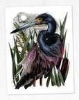 Louisiana Nature Art Prints