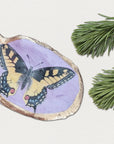 Swallowtail Butterfly Ornament • Oyster Shell