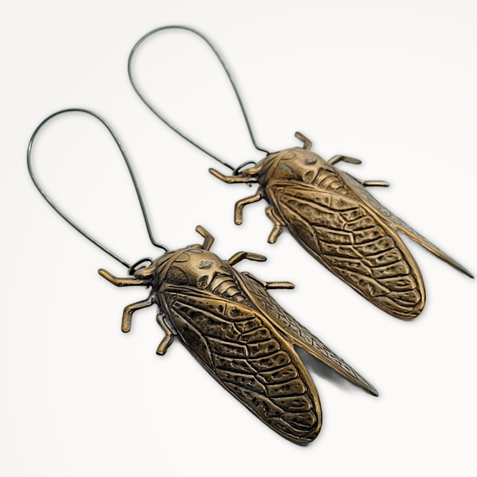 Cicada Earrings