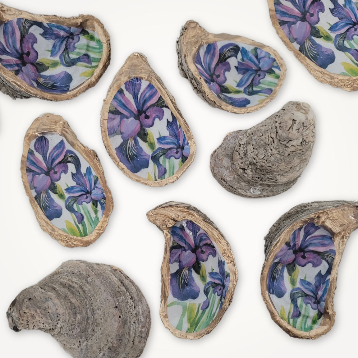 Purple Iris Flower • Oyster Shell Ornament