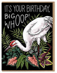 Assorted Birthday Cards • by Mattea's Hand