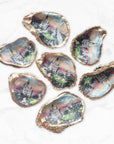 Jackson Square Ornament • Oyster Shell