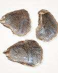 City of New Orleans Map Trinket Dish • Oyster Shell