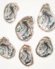 Pelican Ornament • Oyster Shell