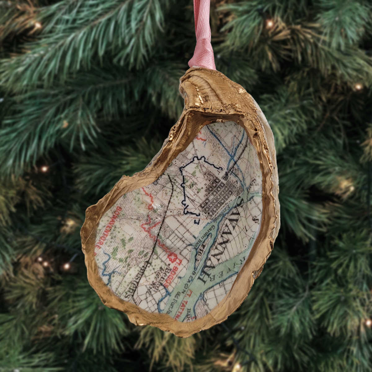 Savannah Map Ornament • Oyster Shell