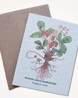 Plantable Seed Cards - give, plant, grow!