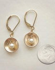 Oyster Earrings • Gold