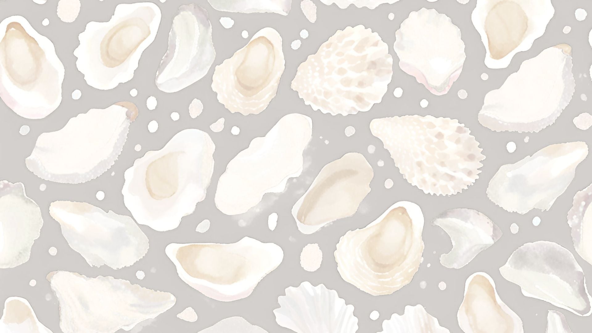 OYSTER SHELLS, NEW ORLEANS