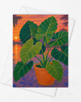 Greeting Cards • Louisiana Landscape