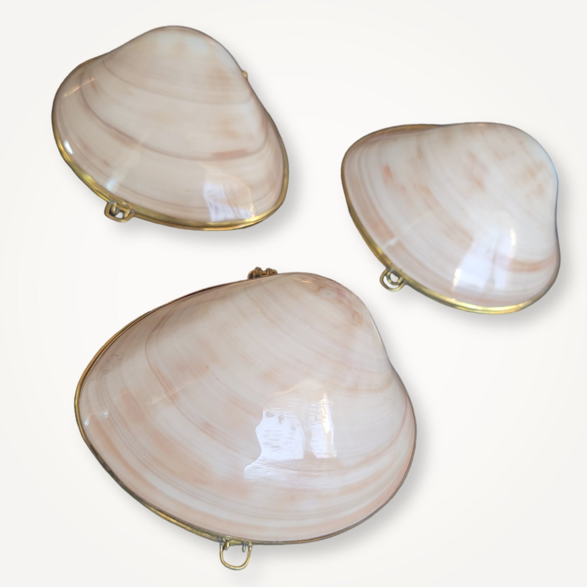 Mermaid Purses • Trinket Holder
