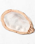 Custom Oyster Shell Table Setting Keepsakes