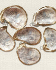 Map Ornaments • Custom Oyster Shell Ornaments