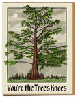 Assorted Thank You Cards • by Mattea's Hand