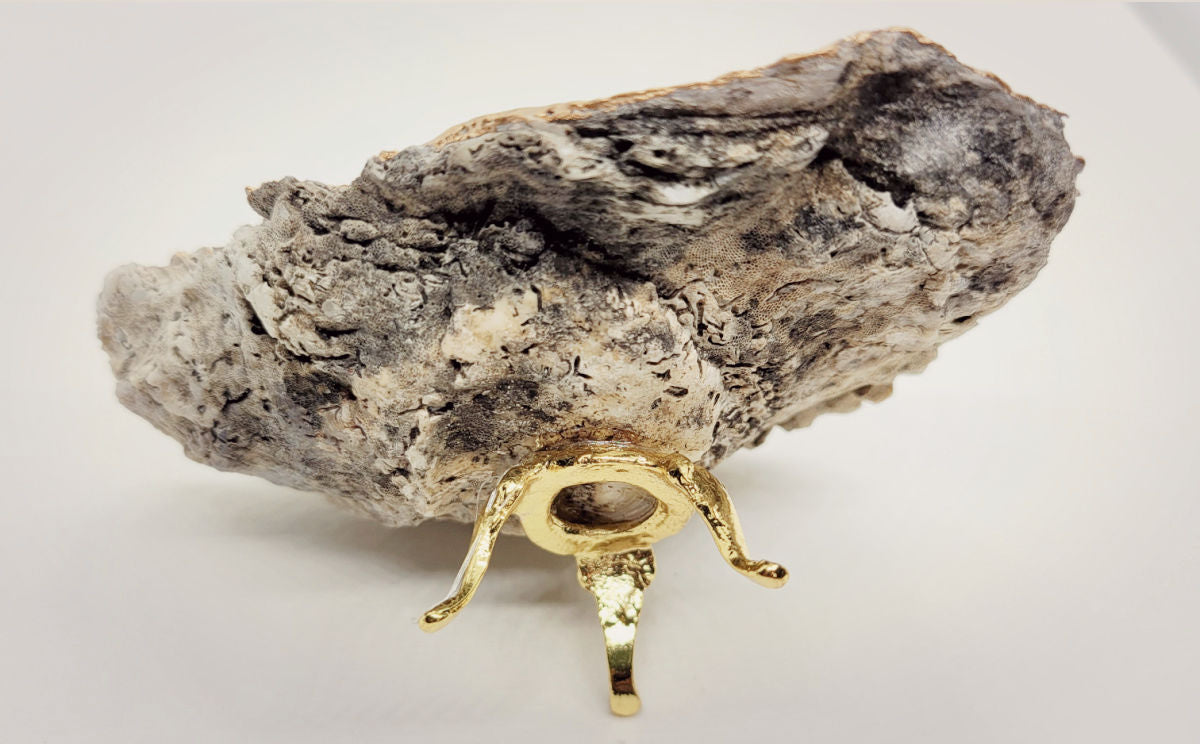 Art Deco Pedestal Ring Dish • Oyster Shell
